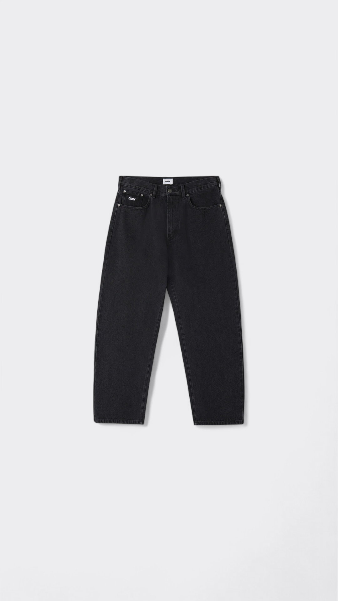 Bigwig Baggy Denim Pant