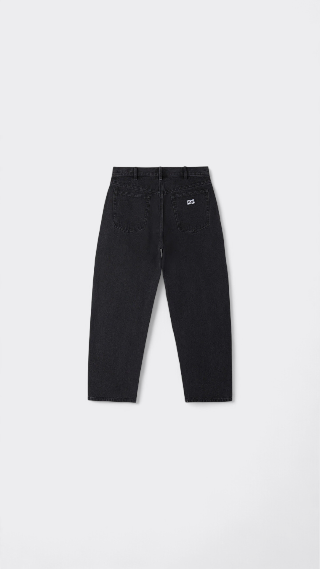 Bigwig Baggy Denim Pant