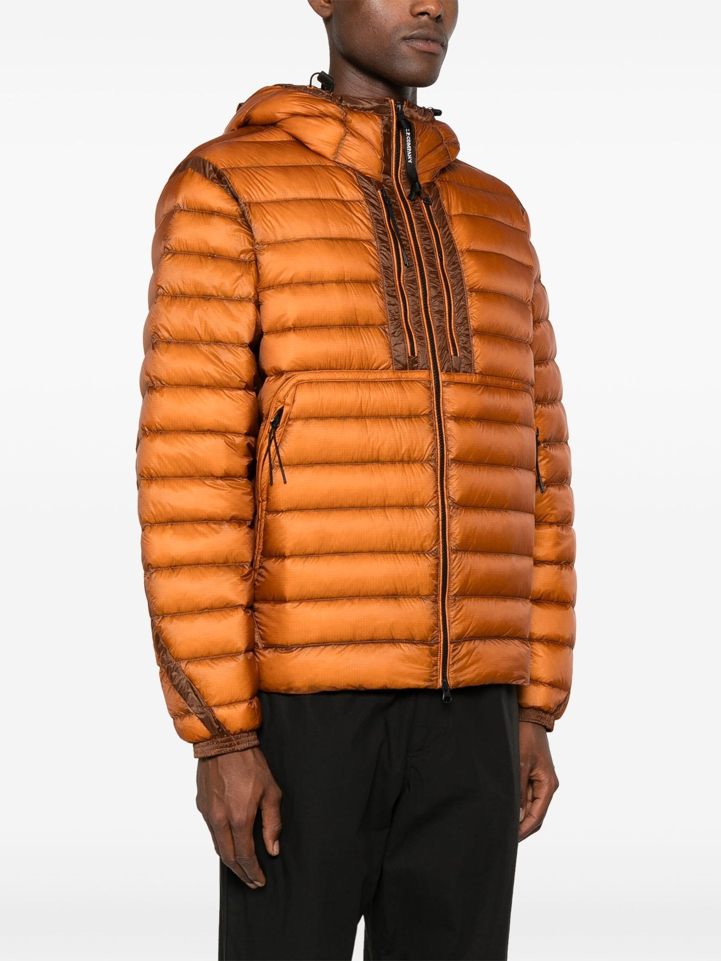 D.D. Shell Goggle Down Jacket